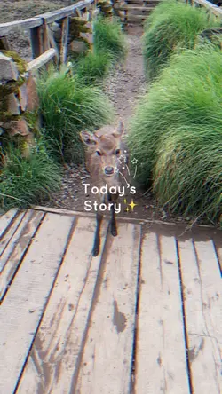 Today’s story