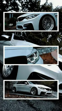 Montagem Batchi