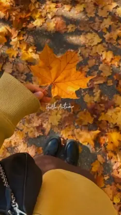 Hello autumn