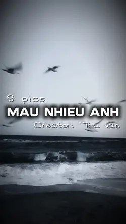[9] mẫu nhiều ảnh 