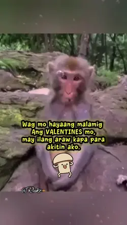Valentine's memes