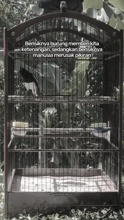 bahan sw kicau mania