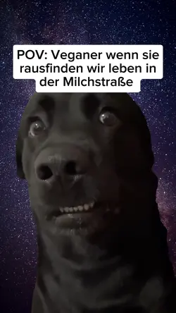 POV Meme 😂