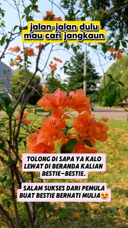 salam pemula fbpro