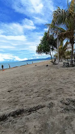 Meggy z