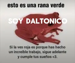 AYUDA!!