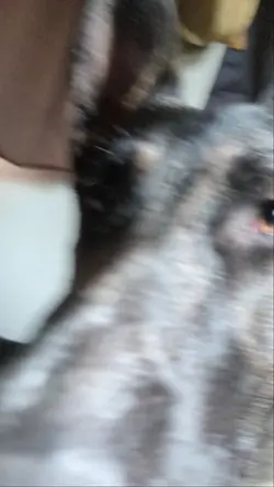 Duke <3