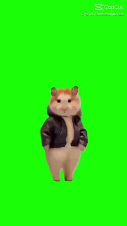 미친 개구리