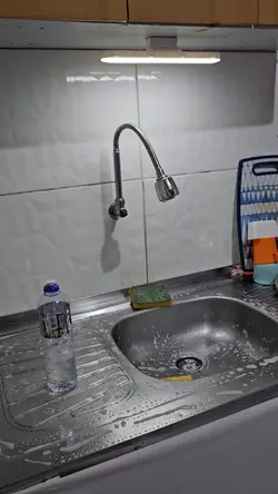 Dona de casa 