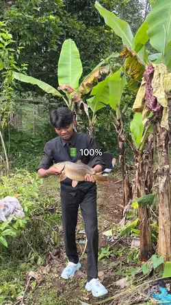 mancing woii