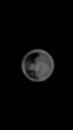 status video