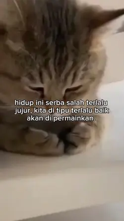 Nyesek sesad