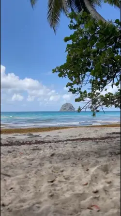 Martinique recap 