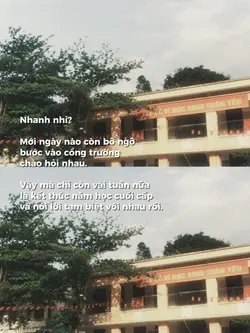 Nhanh nhỉ?