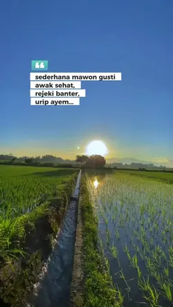 sederhana mawon