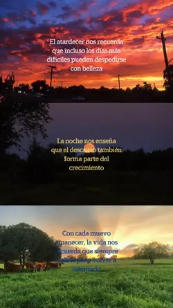 Un mensaje cada vez