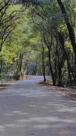Bike edit
