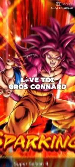 lève toi gros c*nnar