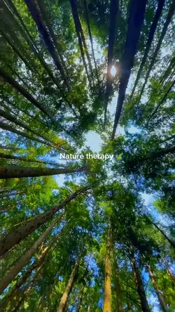 Nature therapy