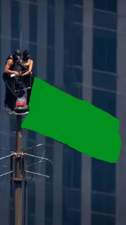 state flag