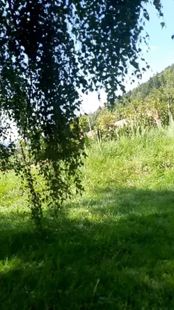 putain zebi