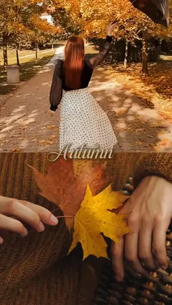 Fall Season 