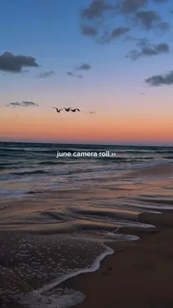 june camera roll