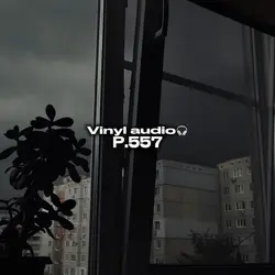 Vinyl audio p.560🎧