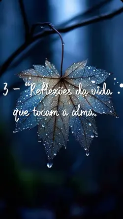 Reflexões