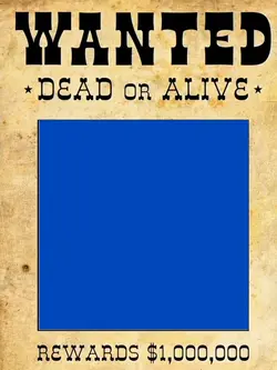 Wanted Poster 