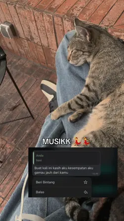 ur pict n ss chat