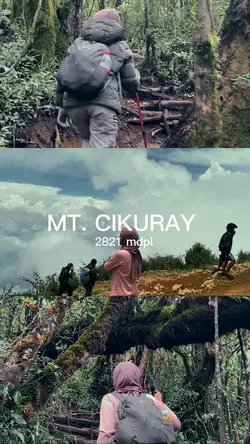 Grid estetik gunung