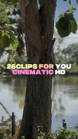 26C For you Footage