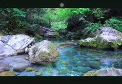 Calm river