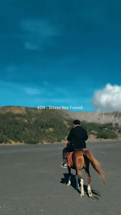 404 Stress not found