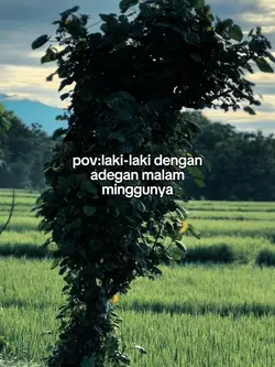 Adegan mlm minggu