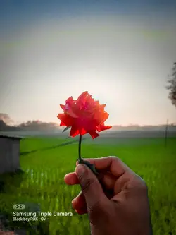 আসো প্রেম করি.. 