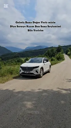 Şablon 