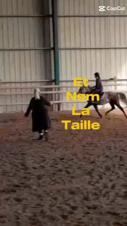 nsm la taille
