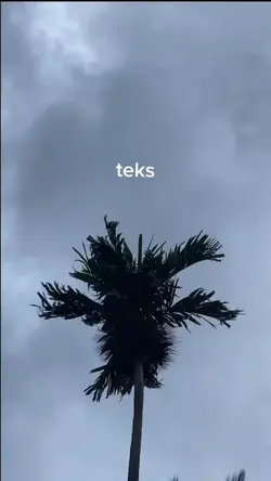 emg lu ank kont