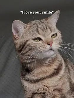 my smile