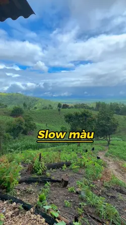 Slow màu