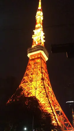 Night View 
