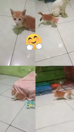 Anak Bayi