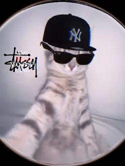 Astig na pusa