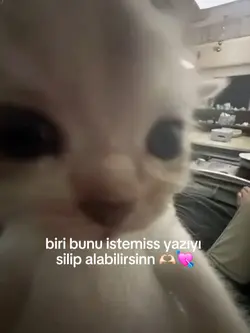 kedii