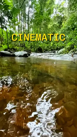Cinematic Template 
