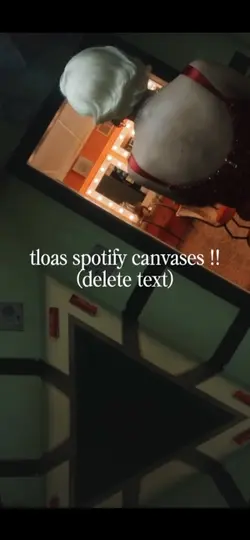 spotify canvases !!