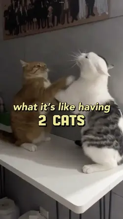 what it’s like