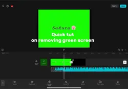#greenscreenremoval